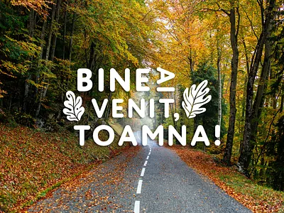 Bine ai venit Toamna 2022 în Moldova! branding chisinau creative cromatix cromatix creative image lab cromatixlab design illustration logo moldova