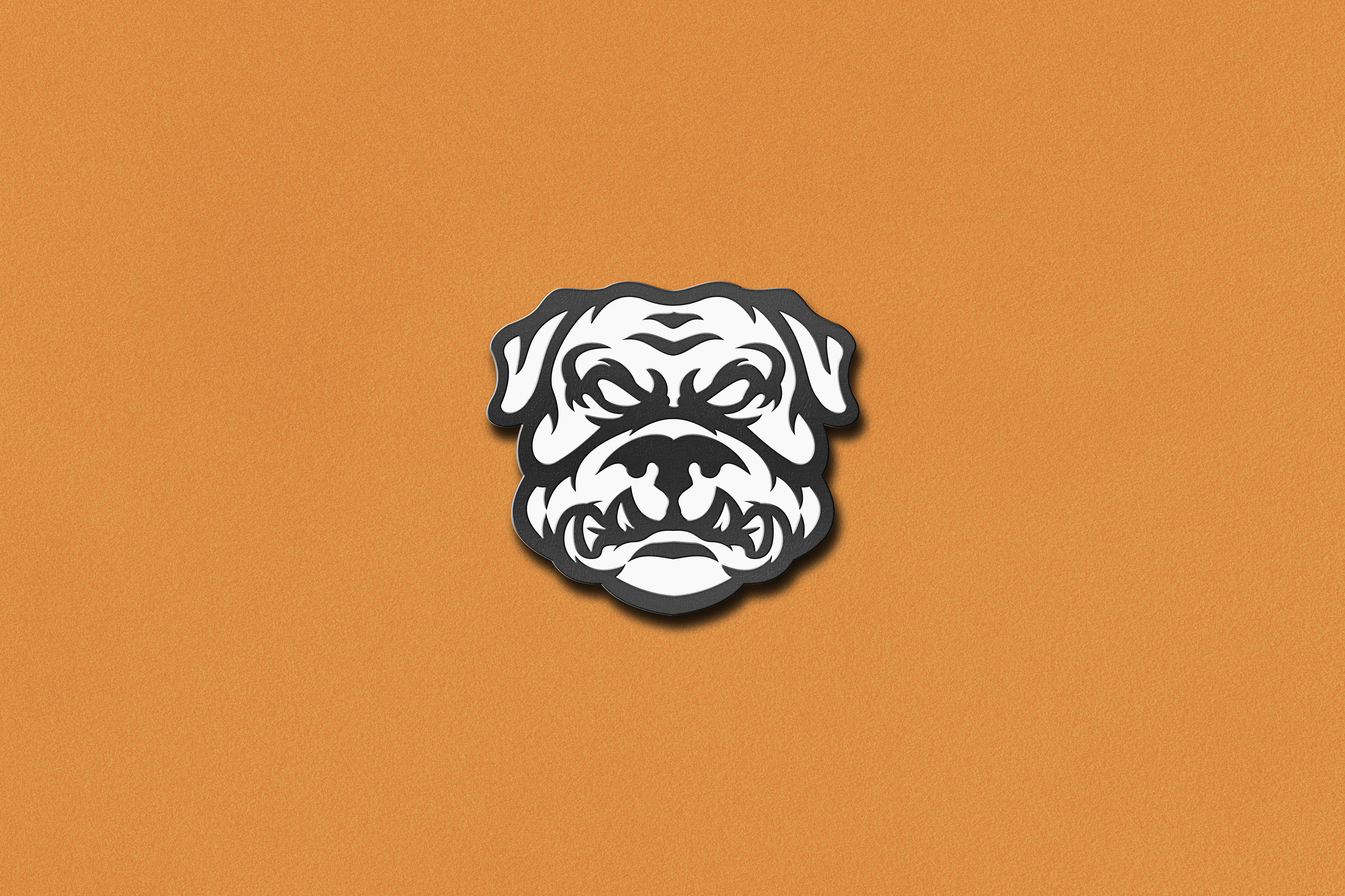 Example of Mascot Logo