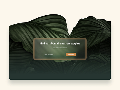 Newsletter banner, landing page banner green landing landing page leaf leaves newsletter ui web web design website