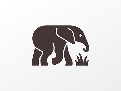 Elephant! africa animal brand brand identity branding elephant forst icon illustration india logo logo design mark nature savanna savannah symbol wild