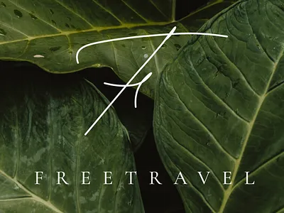 Logo Design brandbook branding corporateidentity design graphic design illustration logo logodesign