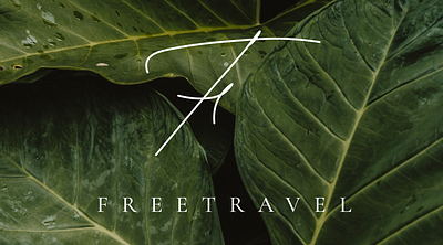 Logo Design brandbook branding corporateidentity design graphic design illustration logo logodesign