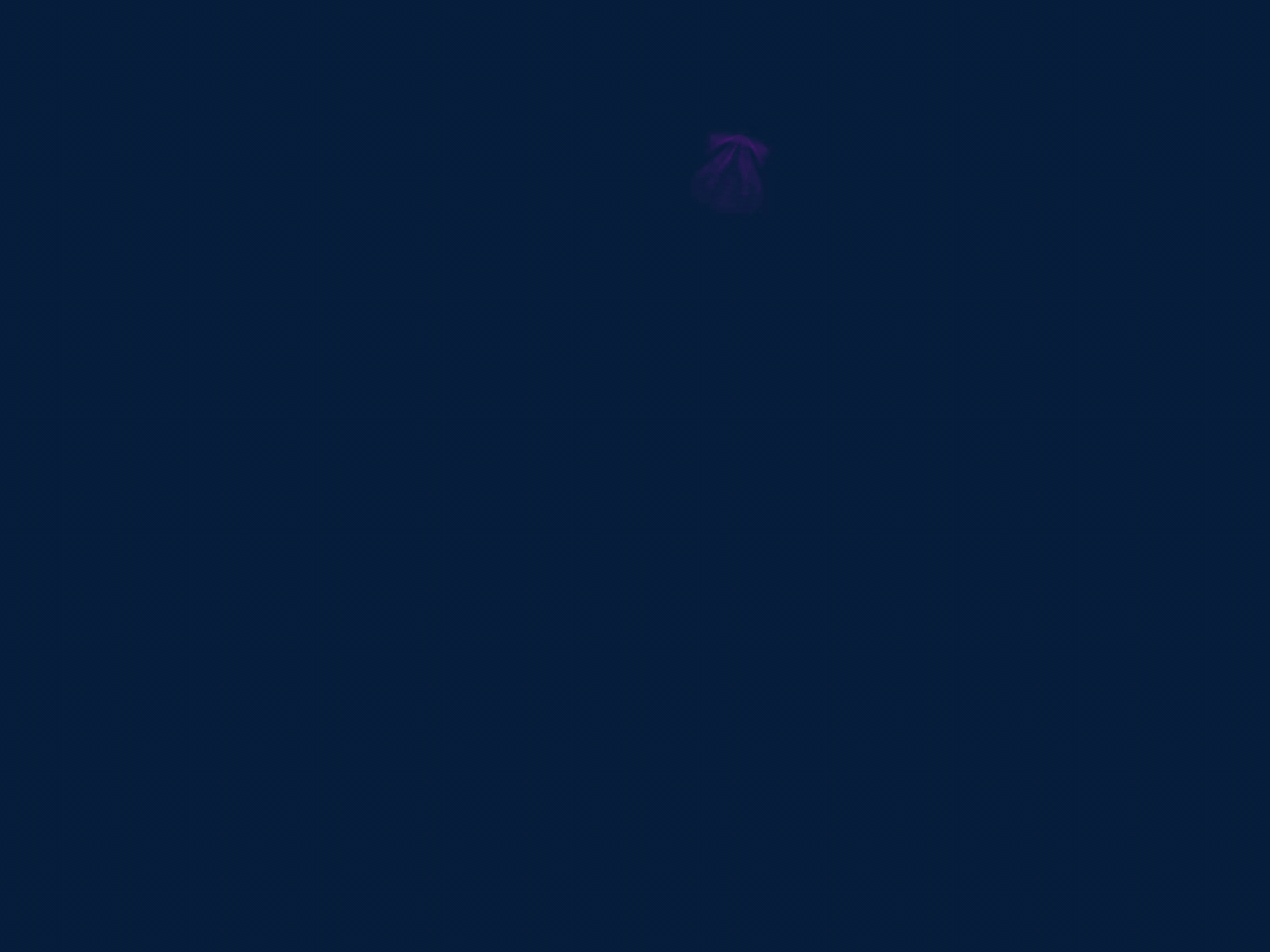Logo Animation animation logo