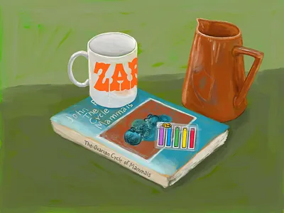 Sarah's House illustration procreate