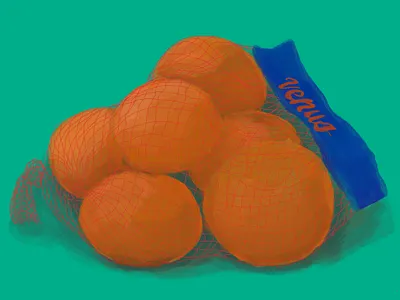Venus Citrus illustration procreate