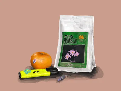 Still Life 2019 2 illustration procreate