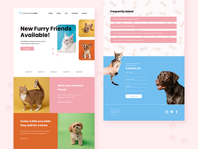 Pet Adoption at the SPCA adoption animals cat dog pet pets rescue shelter spca vet