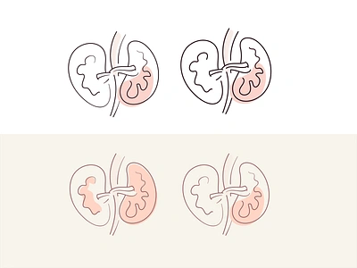 Kidney anatomy bodey branding design diabetic diabetis graphic design health human icon icon set illustration internal organs kidney medical organ organs stomach vector