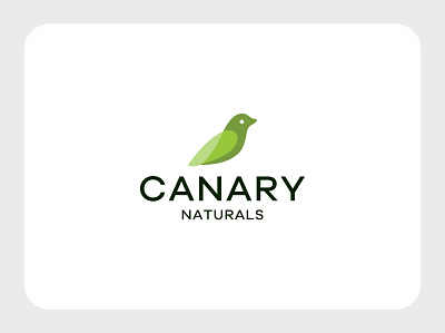 Canary Naturals bird logo brand guide branding classic logo creative logo design fly logo logo design logodesign modern bird logo modern logo natural bird logo natural logo unique logo