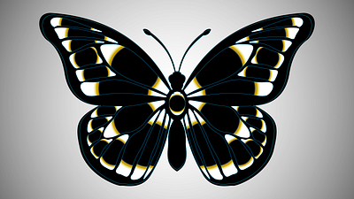 Butterfly Illustration