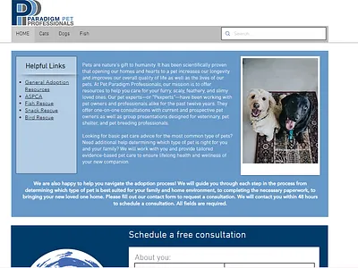 Web Design 1 ui web design
