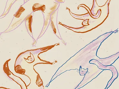 Cats in soup design graphic design illustration