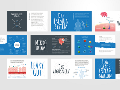 Osteopathy Booklet - Immunologischer Kompass book booklet cube cubeagency custom editorial health illustration immuno learning osteo osteopathy print publishing serie square typography