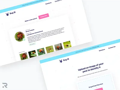 Bug ID bug figma machine learning ml pest ui ui design user interface web web app