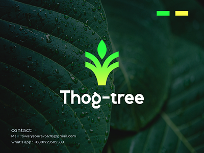 Letter T + Tree icon logo, Minimalist logo, Nature brand company logo design leaf logo logo logogrid logolove logomaker logonew logos logotipo modern nature new logo startup t logo thog tree tree tree logo ttree