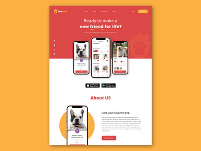 Website Landing Page design ui ux