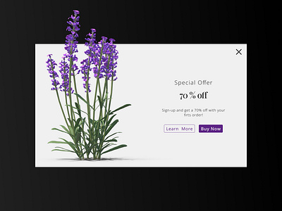 Special Offer - #DailyUI 036 036 36 app appdesign challenge dailyui dailyui036 dailyui36 dailyuichallenge design popup specialoffer ui web webdesign