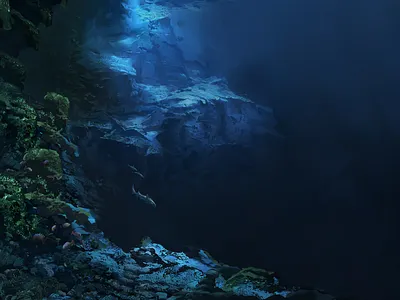 Blue Yonder coral deep landscape ocean sea waterscape