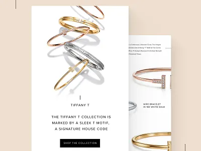 Emailer Design : Jewellery Domain branding design design concept emailer design graphic design illustration landing page logo ui ux vector