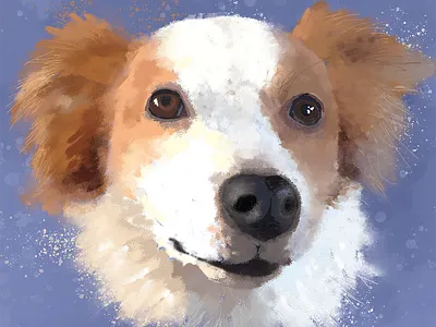 Pooch Portrait design dogs illustration portraits