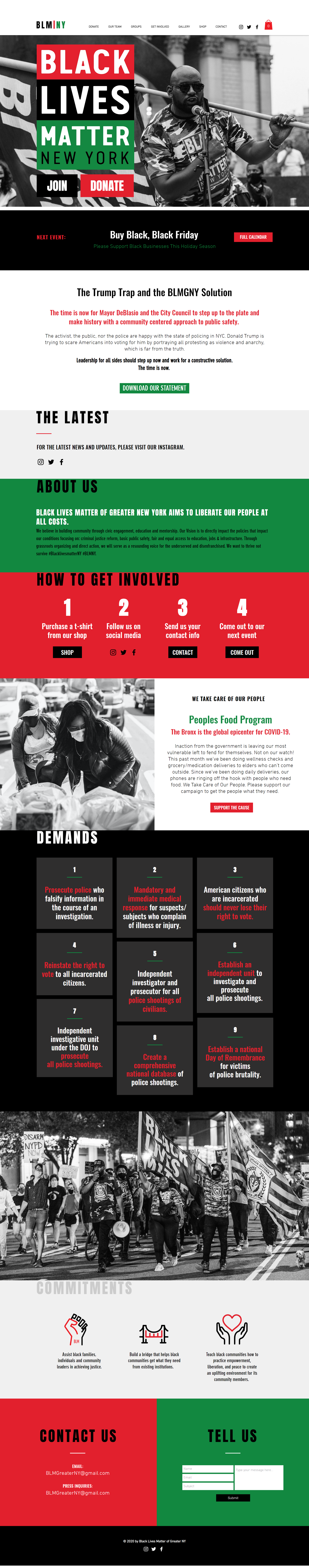 Example of Wix Business Website, Ecommerce Website