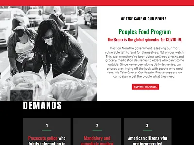 BLM | NY ecommerce elementor pro online store wordpress