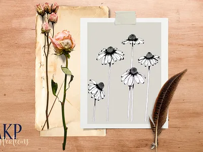 Black-Eyed Susan Stems- Floral Illustration design flor graphic design illustration line drawing minimal