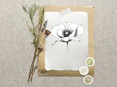 Single Stem Poppy - Floral Illustration design floral graphic design illustration line drawing minimal
