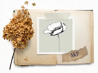 Single Stem Poppy in wind - Floral Illustration design floral graphic design illustration line drawing minimal
