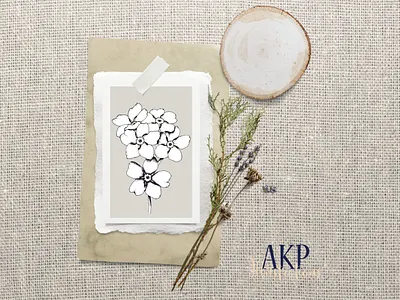 Forget-me-nots Cluster - Floral Illustration design floral graphic design illustration line drawing minimal