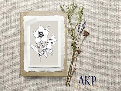 Helibore Stem - Floral Illustration design floral graphic design illustration line drawing minimal