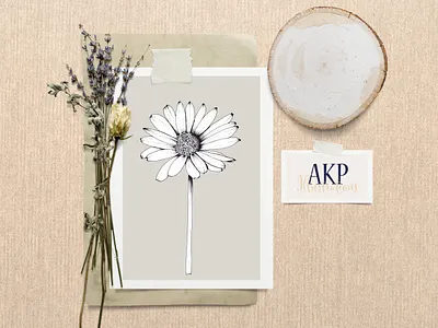 Daisy Stem - Floral Illustration design floral graphic design illustration line drawing minimal