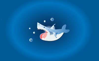 shark design graphic design illustration vector