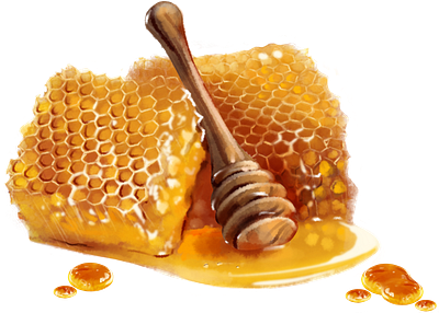 Digital Watercolor. The Honey Project. adobe illustrato adobe illustrator adobe photoshop black and white black and white graphics book illustration branding design digital watercolor girl graphic design illustration logo procreate ui watercolor watercolor illustration