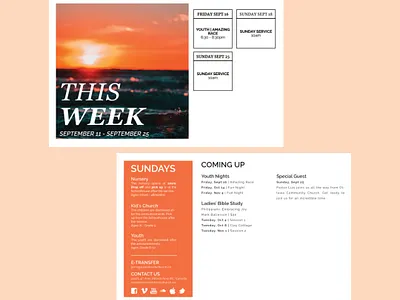 Bi-Weekly Newsflash branding cards design graphic design illustration photo ux