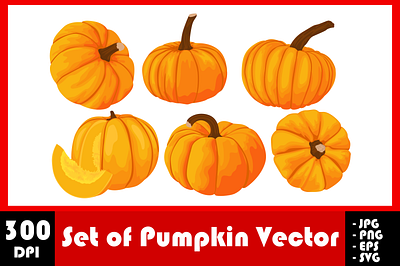 Set of Pumpkin Vector design fruit graphic design inspiration vec vector