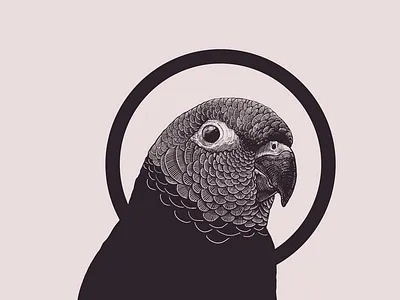 Progression illustration design graphic design illustration