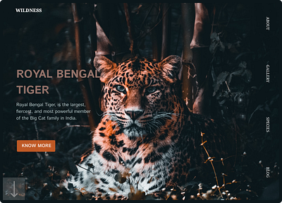 WILDLIFE LANDING PAGE DESIGN app branding design graphic design illustration ui ux website design