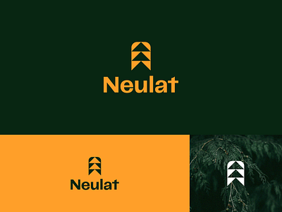 Neulat dribbble best shot