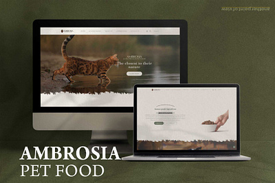 Website Design & Development web design wordpress theme development