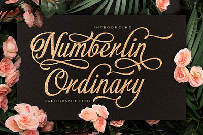 Numberline Ordinary - Script Font invitation