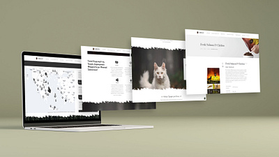 Ambrosia Pet Food clean design responsive design web design wordpress theme development
