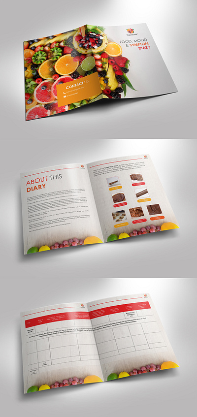 Bi Fold Brochure Design booklet design branding cover design design graphic design illustration infographic visual print design vector