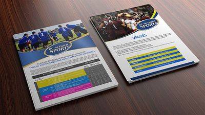 Flyer Design booklet design branding cover design design graphic design illustration infographic visual logo print design ui vector