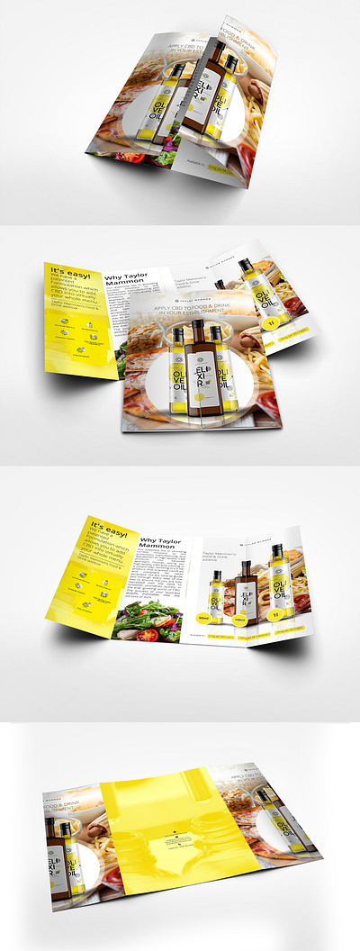 Gate fold Brochure Design booklet design branding cover design design graphic design illustration infographic visual print design vector