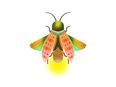 Digital Bug Firefly NFT animal bangladesh bug design digital firefly firefly art firefly drawing firefly illustration hand drawn hand drawn logo icon illustration insect logo logo design nft vector