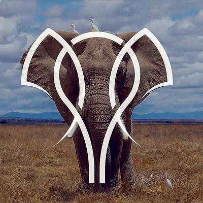 Elephant branding design flat icon illustration logo logo design logo per day ui vector