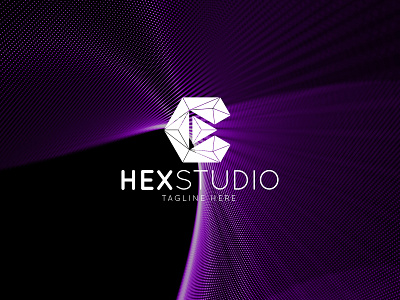 Hex studio logo template clean logo cmyk company logo design graphic design hexstdio logo hexstudio illustration illustrator logo design logo template luxury logo media media logo modern logo studio logo