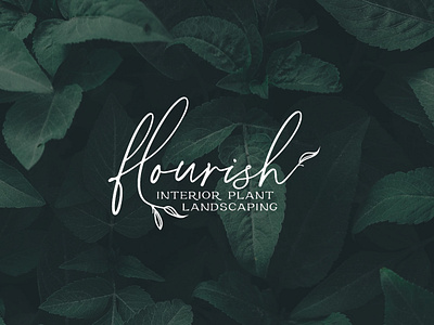 Flourish Logo Design design graphic design logo