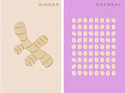 Chef'n Illustrations illustration vector